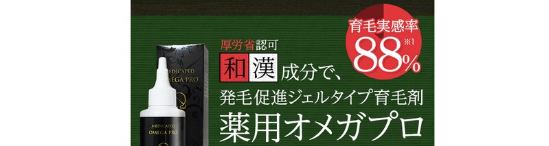 ��p�I���K�v�����T�C�g